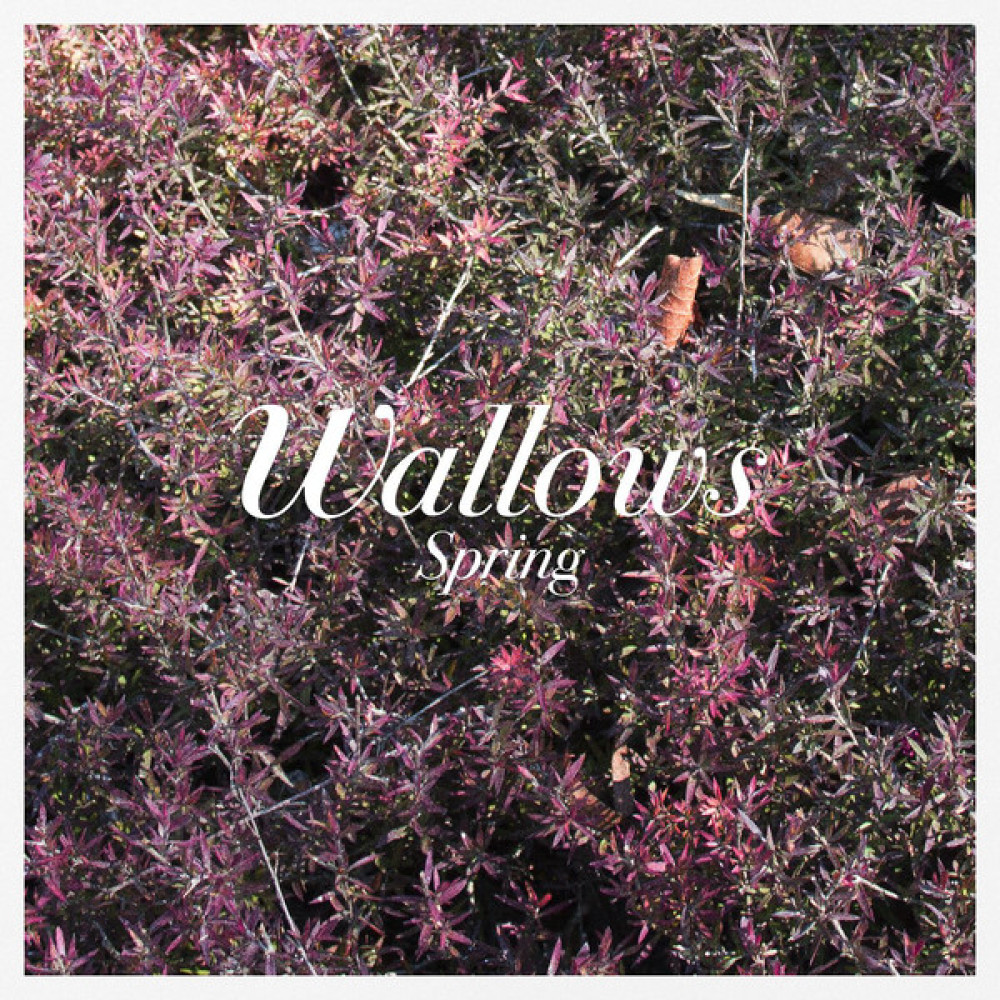 Виниловая пластинка Wallows - Spring, 8452