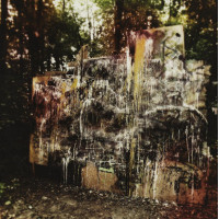 Wildlife (Translucent Purple Vinyl)
