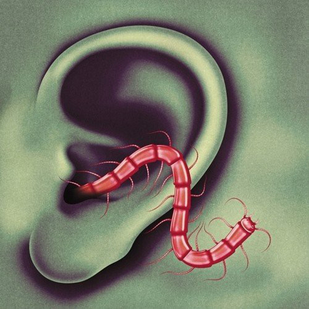 Вінілова платівка Thee Oh Sees - An Odd Entrances, 8530