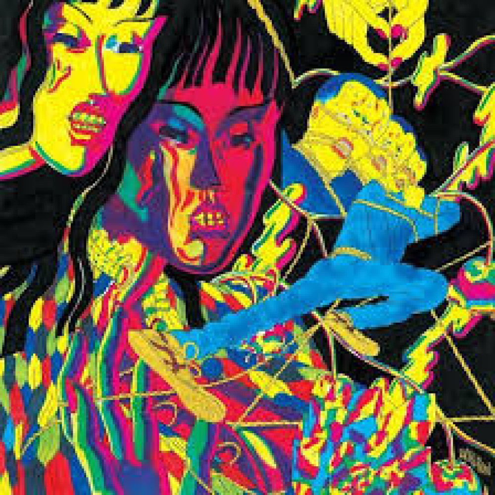 Виниловая пластинка Thee Oh Sees - Drop, 8533