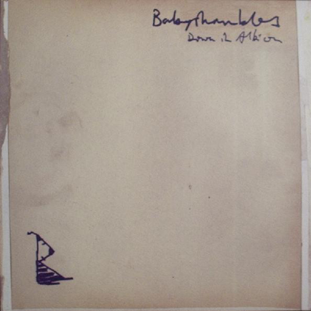 Виниловая пластинка Babyshambles - Down In Albion, 8549