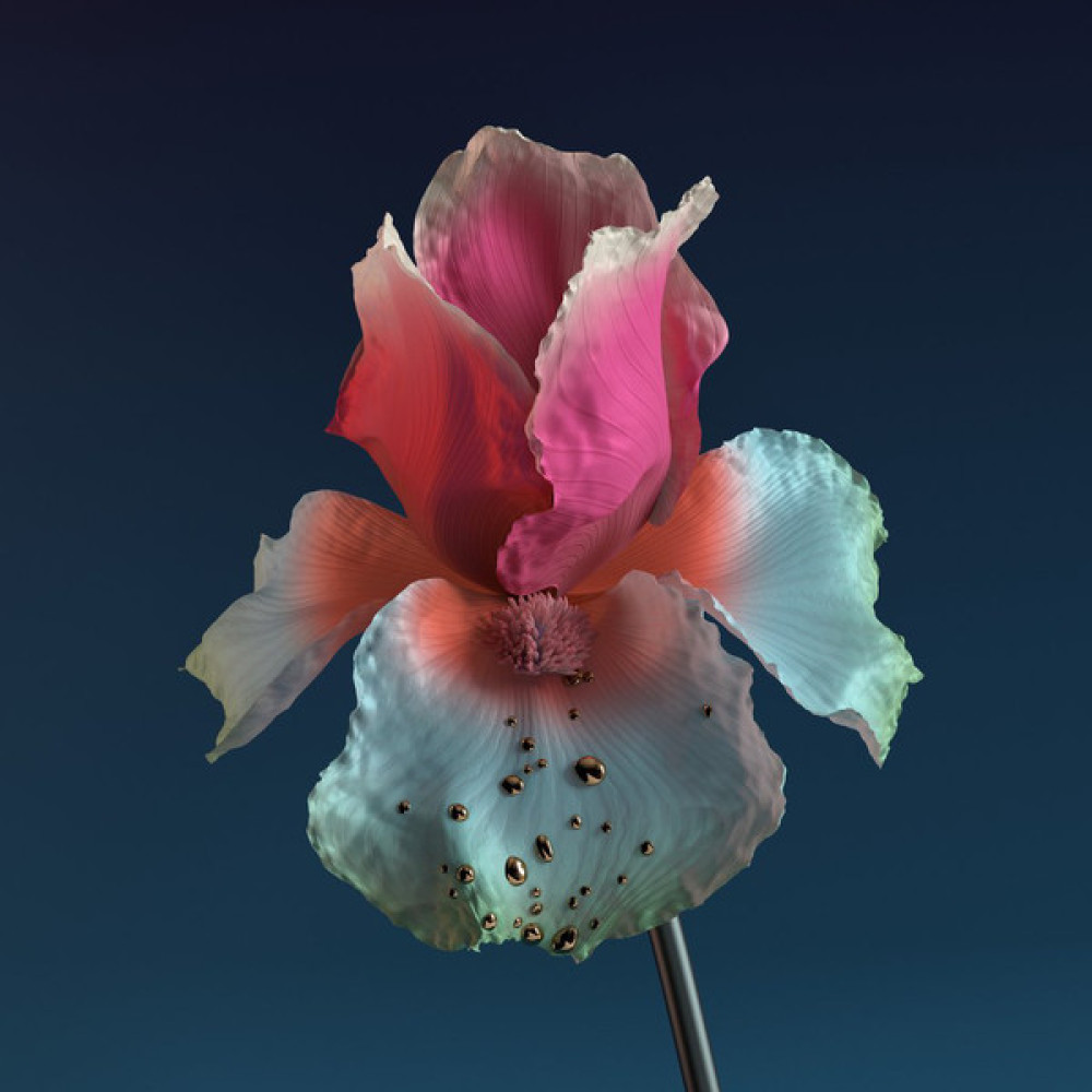 Виниловая пластинка Flume - Tiny Cities, 8554