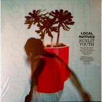 Sunlit Youth