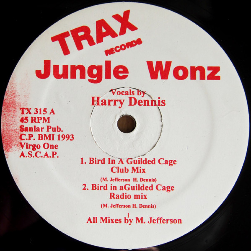 Виниловая пластинка Jungle Wonz - Bird In a Guilded, 8569