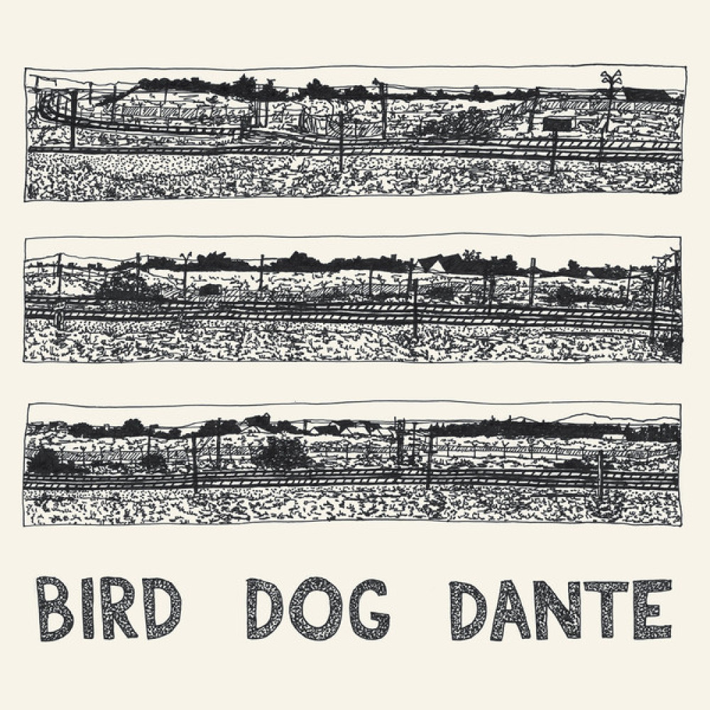 Виниловая пластинка Parish, John - Bird Dog Dante, 8570