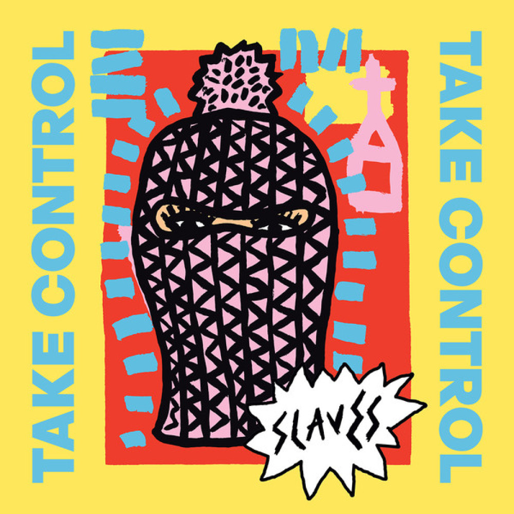 Виниловая пластинка Slaves - Take Control, 8627