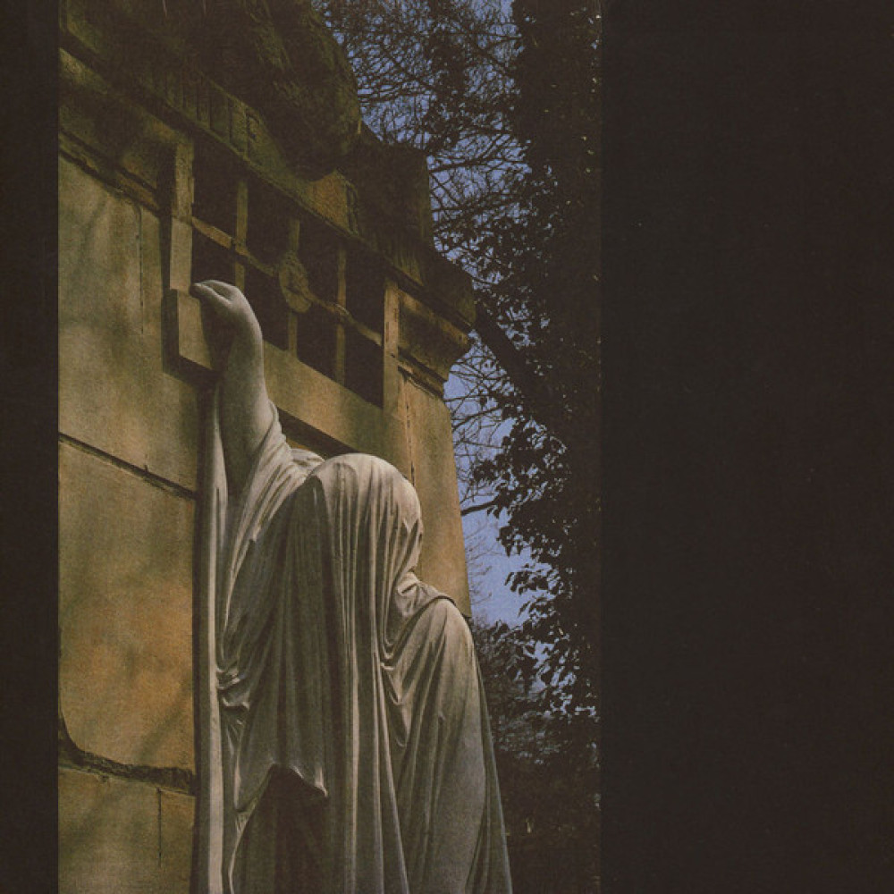 Виниловая пластинка Dead Can Dance - Within the Realm of a Dying Sun, 8665