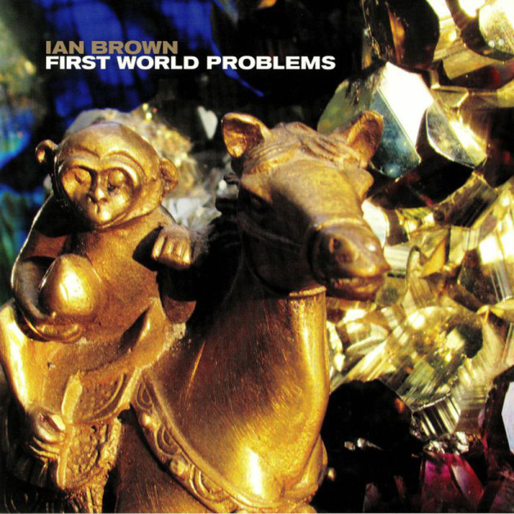Виниловая пластинка Brown, Ian - First World Problems, 8863