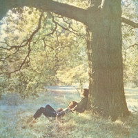 Plastic ono Banc