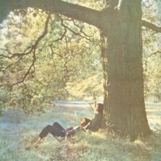 Plastic ono Banc