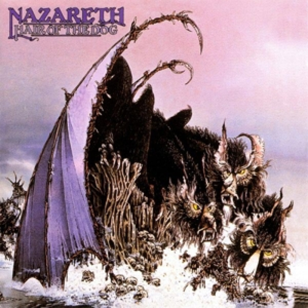 Виниловая пластинка Nazareth - hair of the dog, 879