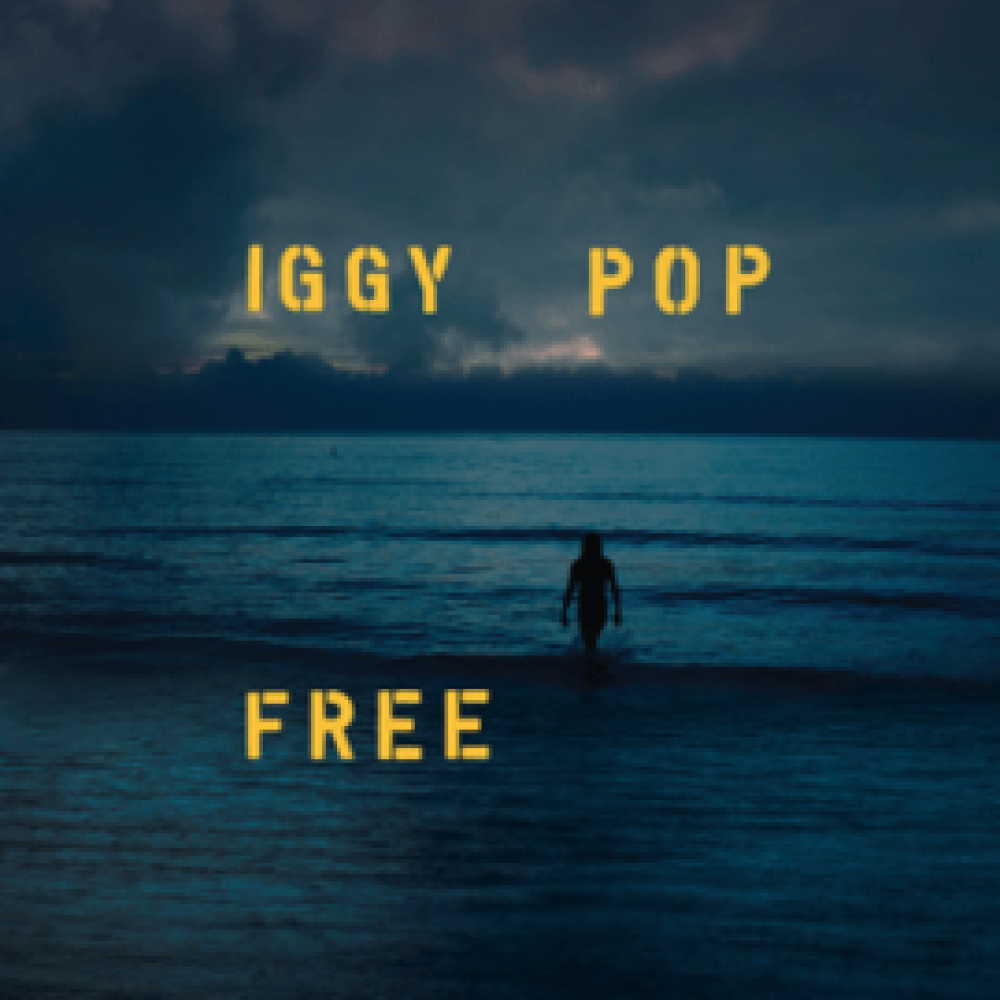 Виниловая пластинка Pop, Iggy - Free, 8904