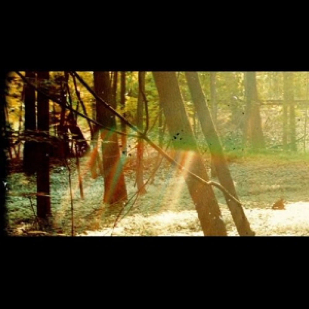 Виниловая пластинка Childish Gambino  - Camp, 89111