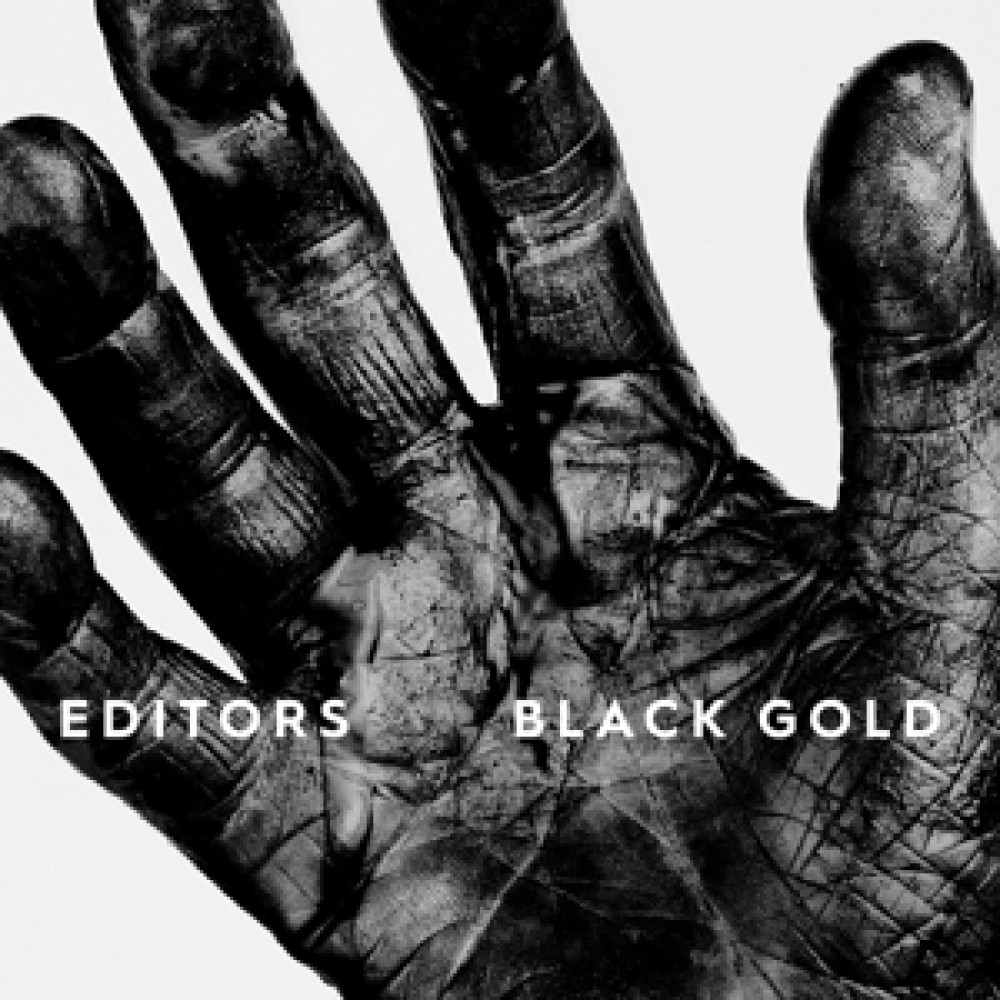 Виниловая пластинка Editors - Black Gold - Best Of, 8973