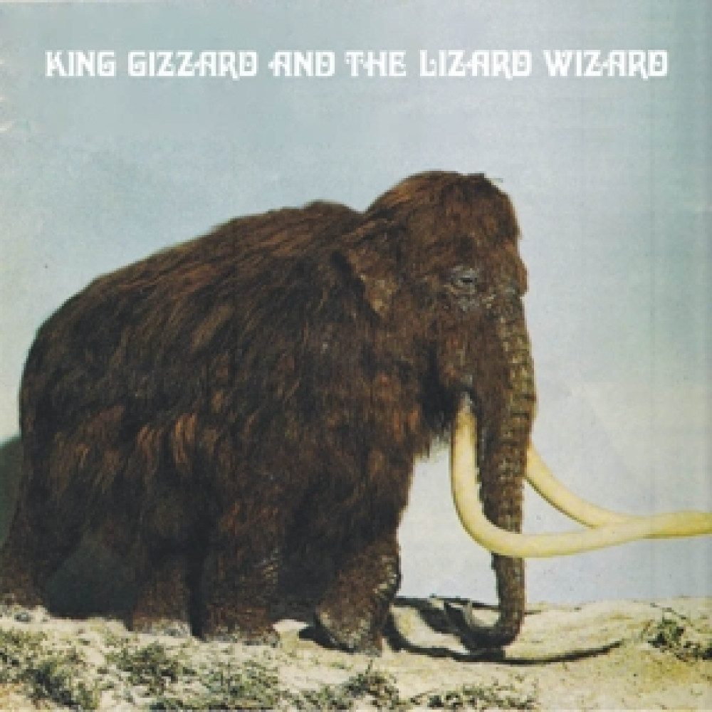 Вінілова платівка King Gizzard And The Lizard Wizard - Polygondwanaland (Limited Edition), 91036