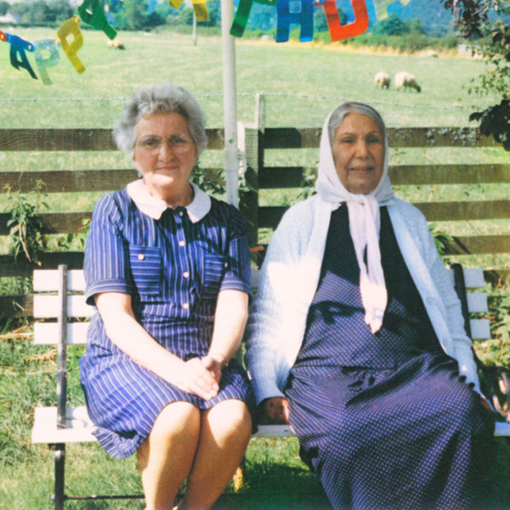 Виниловая пластинка Dauwd - Theory Of Colours, 91116