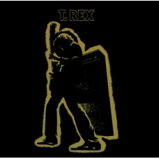 Electric Warrior