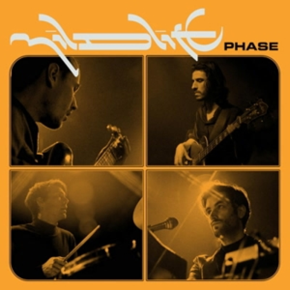 Виниловая пластинка Mildlife - Phase, 92084