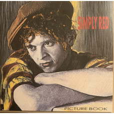 Picture Book