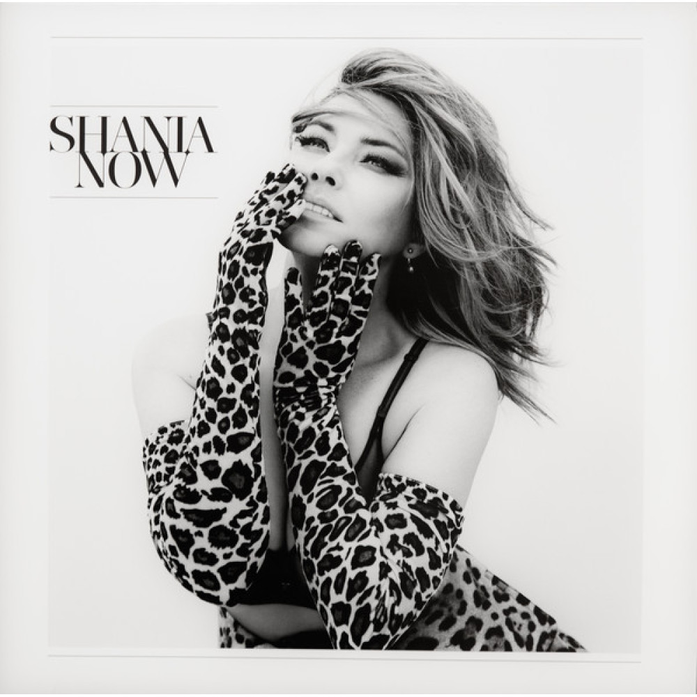 Виниловая пластинка TWAIN, SHANIA - Now, 92311