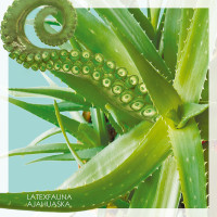 LATEXFAUNA - Ajahuaska (Season 2)