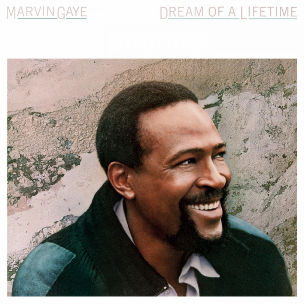 Виниловая пластинка Gaye, Marvin - Dream Of A Lifetime (Coloured), 92520