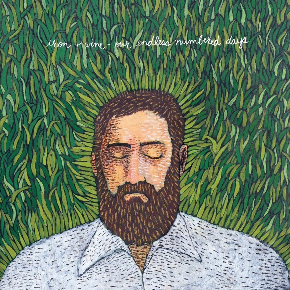 Виниловая пластинка Iron & Wine - Our Endless Numbered Days, 92650