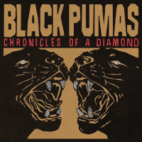 Chronicles Of A Diamond (Transparent Red Vinyl)