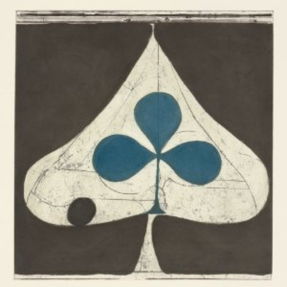 Виниловая пластинка Grizzly Bear - Shields, 22914