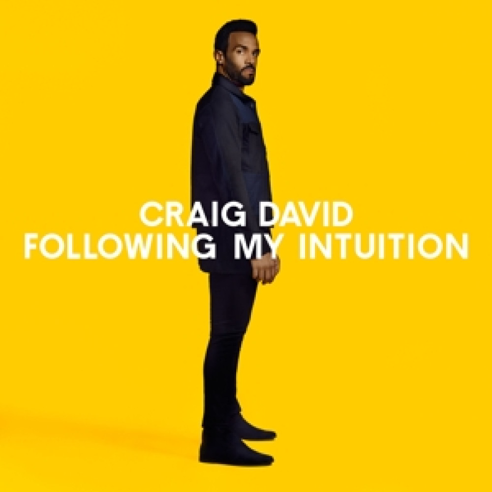 Виниловая пластинка David, Craig - Following My Intuition, 4018
