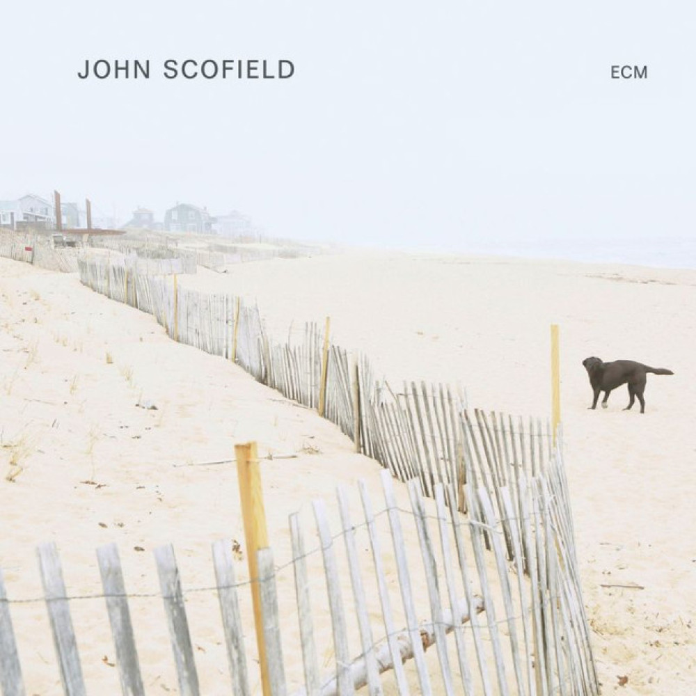 Виниловая пластинка John Scofield - John Scofield, 43874
