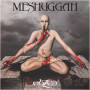 Виниловая пластинка MESHUGGAH  - obZen, 703268