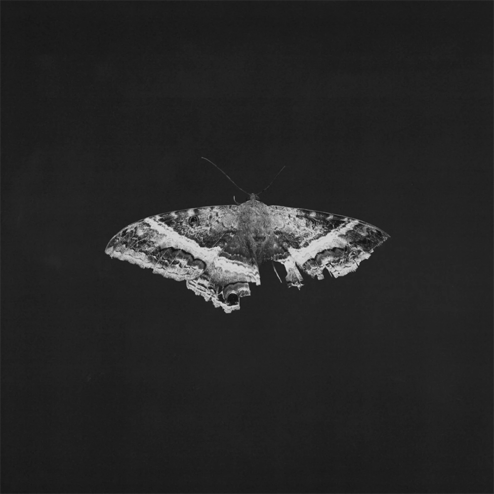 Kendrick Lamar - To Pimp A Butterfly (Alternate Artwork 10th Anniversary Edition)