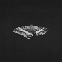 Kendrick Lamar - To Pimp A Butterfly (Alternate Artwork 10th Anniversary Edition)