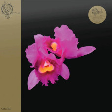 Orchid