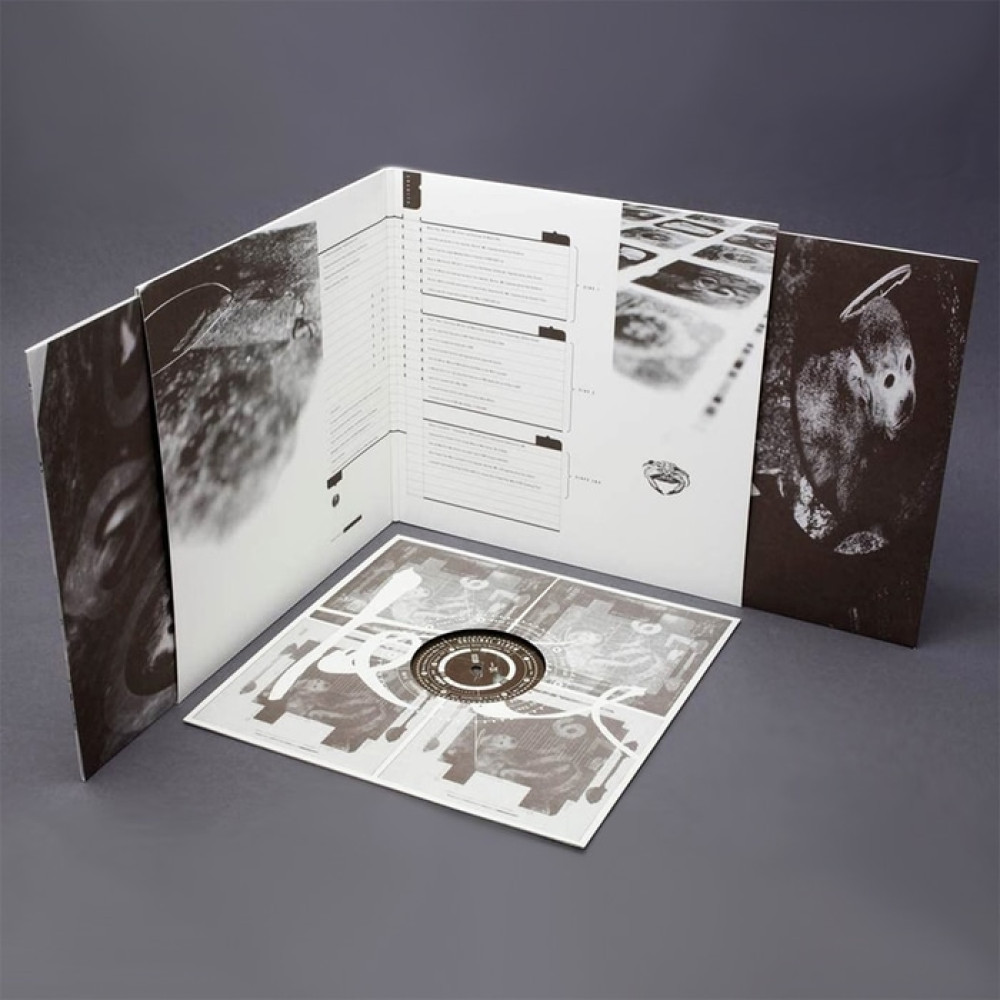 Виниловая пластинка Pixies - Doolittle 25: B-Sides, Peel Sessions And Demos, 42512