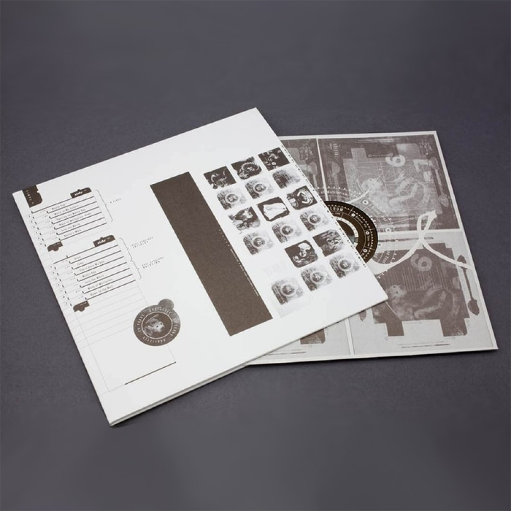 Виниловая пластинка Pixies - Doolittle 25: B-Sides, Peel Sessions And Demos, 42512