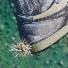 Tread