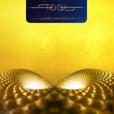Tool - Fear Inoculum