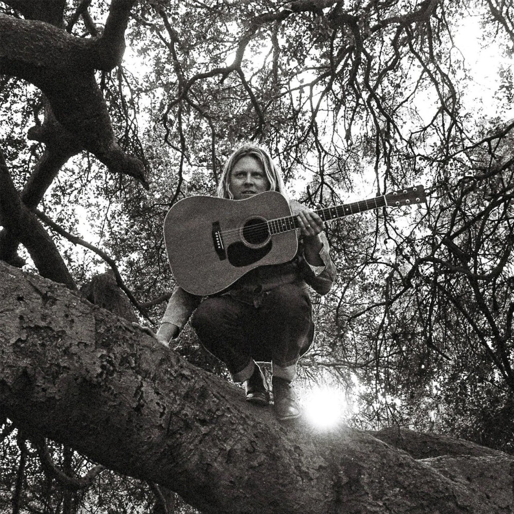 Виниловая пластинка SEGALL, TY - Hello, Hi