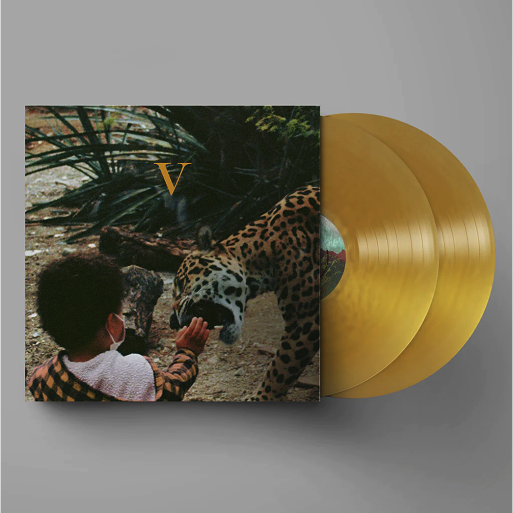 Виниловая пластинка Unknown Mortal Orchestra - V (Coloured), 42231