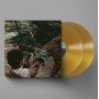 Виниловая пластинка Unknown Mortal Orchestra - V (Coloured), 42231