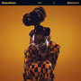 Виниловая пластинка LITTLE SIMZ - Sometimes I Might Be Introvert, 161455