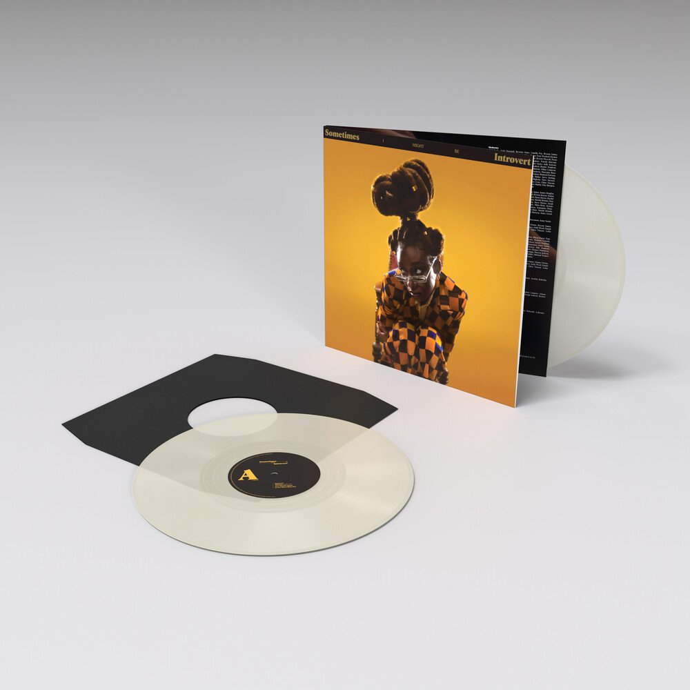 Виниловая пластинка LITTLE SIMZ - Sometimes I Might Be Introvert, 161455