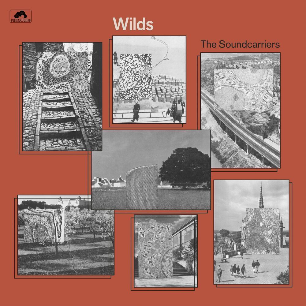 Виниловая пластинка The Soundcarriers - Wilds